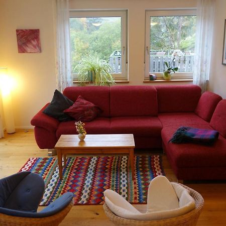Ferienwohnung Teich 11 Gutenbach Ngoại thất bức ảnh